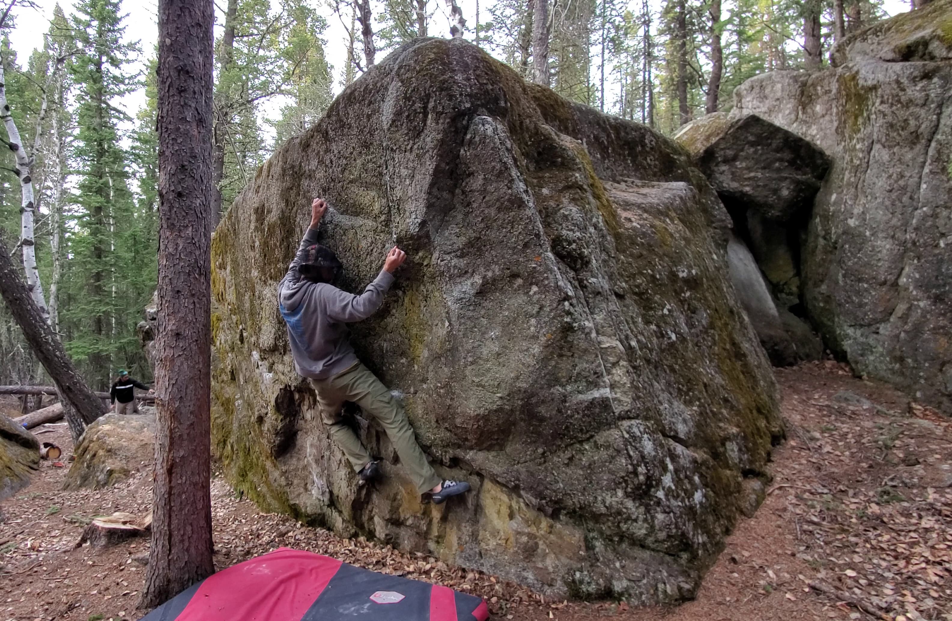 Bonsai bouldering area